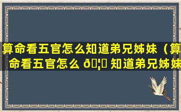 算命看五官怎么知道弟兄姊妹（算命看五官怎么 🦟 知道弟兄姊妹关系）